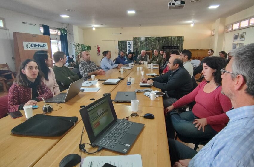  El Gobierno de la Provincia presentó propuestas para el manejo y aprovechamiento sostenible del Bosque Nativo