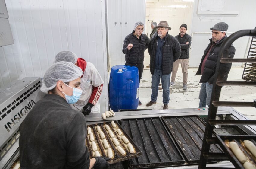  Othar Macharashvili visitó una fábrica en crecimiento y puso en valor la producción local