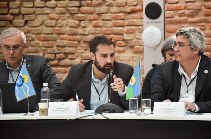  Chubut participó del 45° Encuentro del Consejo Federal Agropecuario