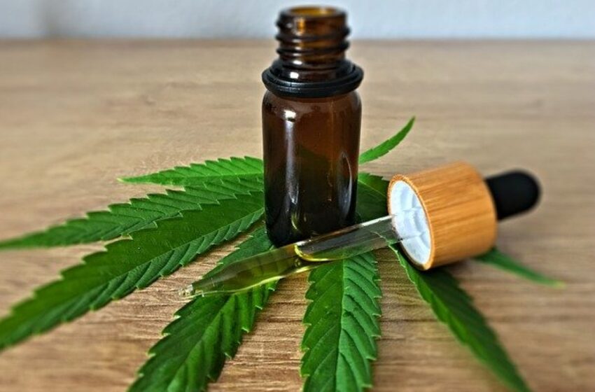 Buenas nuevas:  y llegó la Reglamentación de la Ley del Cannabis Medicinal y Cáñamo Industrial
