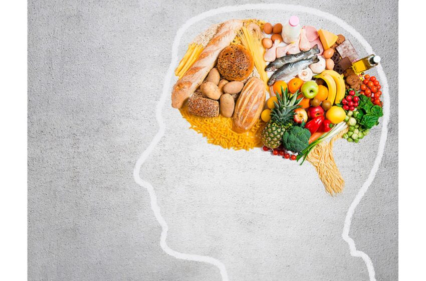  NUEVOS PARADIGMAS EN LOS TRATAMIENTOS NUTRICIONALES