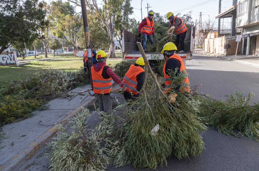  El Municipio comenzará esta semana con la entrega de materiales para las viviendas afectadas por el temporal de viento