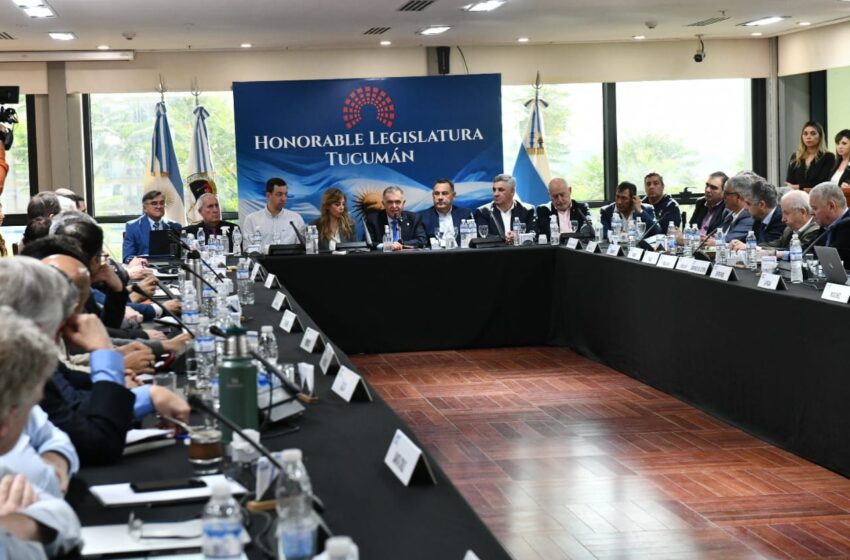  Chubut participa en Tucumán de la reunión plenaria del Consejo Federal de Energía Eléctrica
