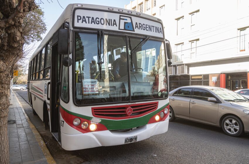  El transporte público será gratuito este domingo