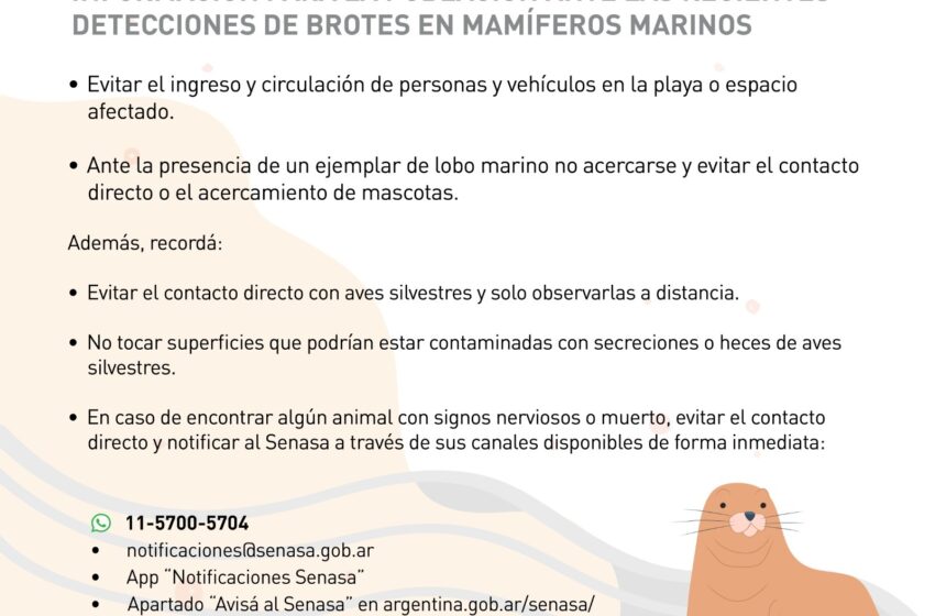 El Gobierno del Chubut brinda recomendaciones ante circulación de gripe aviar en mamíferos marinos