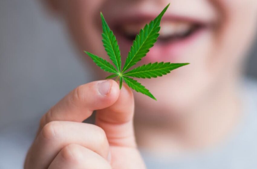 “Cannabis y Autismo: el encuentro de Dos Mundos”