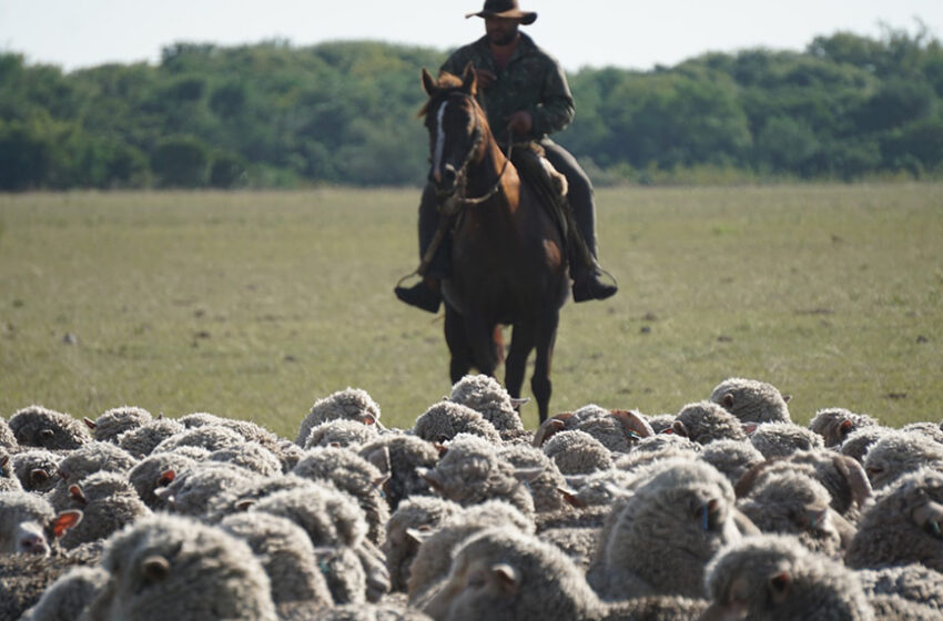  Aumento salarial rural: decisión unilateral sin consensos que sigue atacando a la producción, en lugar de acabar con la inflación