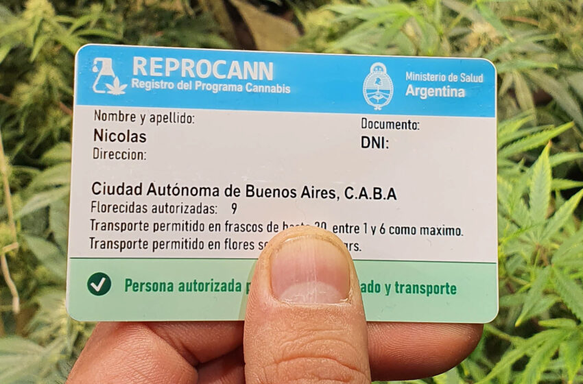 ¿Qué es el REPROCANN? Marcos legales del Cannabis Medicinal