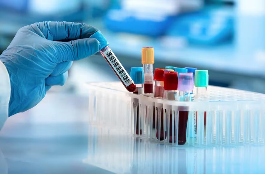  La gravedad desde la mirada del paciente