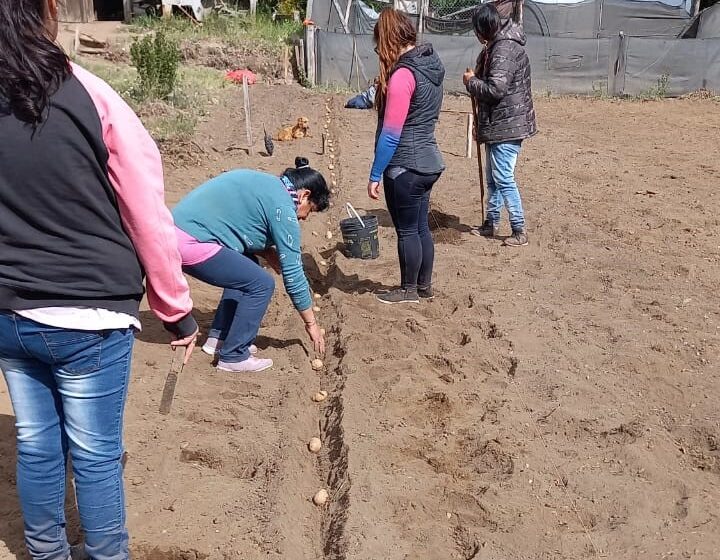  Agricultura Familiar: Provincia acompaña con semillas y asesoramiento a productores de Río Pico