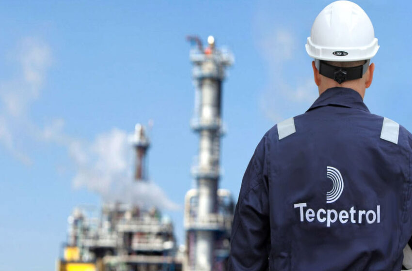  Techint amplía plazo para que canadiense acepte su oferta y está más cerca de entrar al negocio del litio