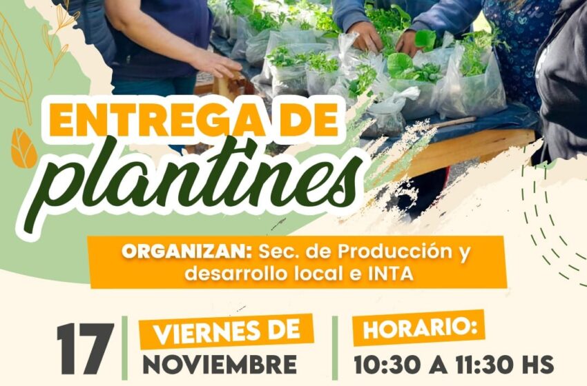  SARMIENTO: NUEVA ENTREGA DE PLANTINES EN LA PLAZA SAN MARTÍN
