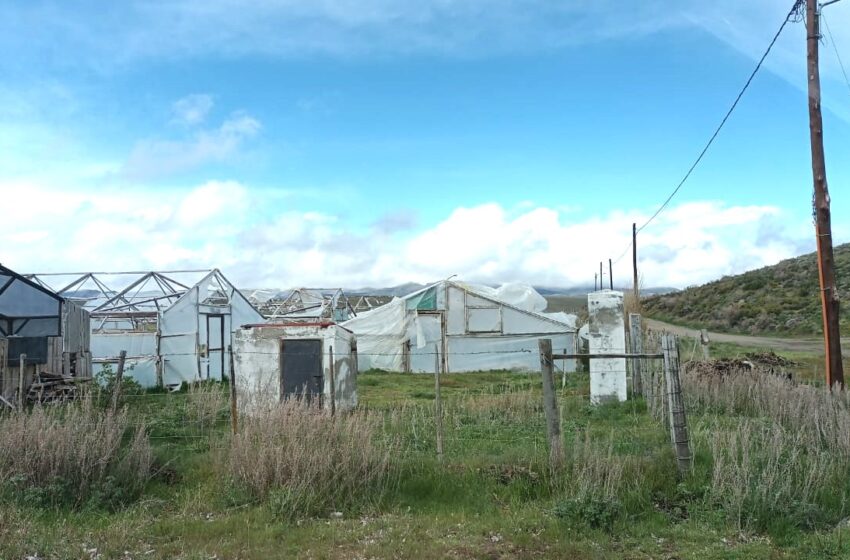  Producción: Provincia reconstruirá invernáculos en desuso en Tecka