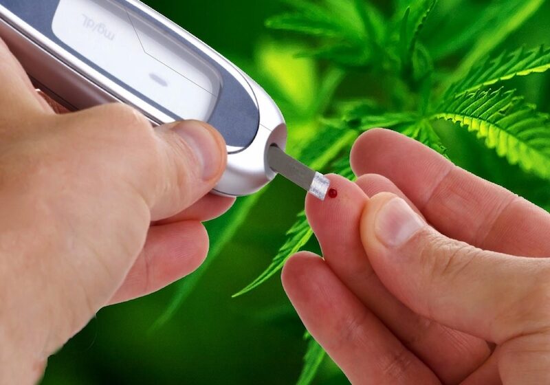  Diabetes y Cannabis
