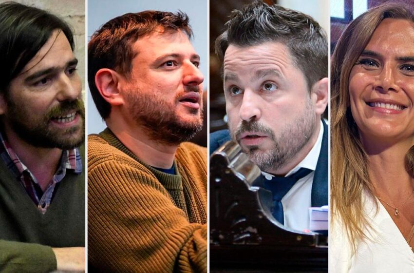  Reacciones a las medidas: respaldo de radicales y libertarios, rechazo de UxP e izquierda