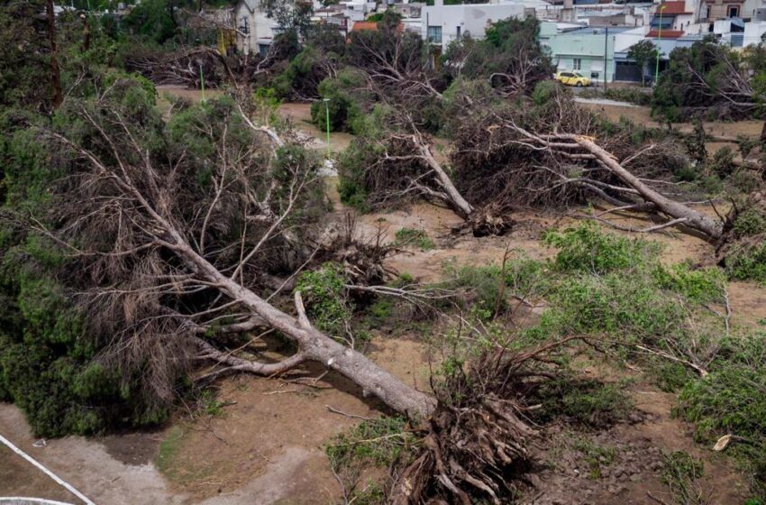  Los expertos del Conicet analizaron el fenómeno climático y sus consecuencias