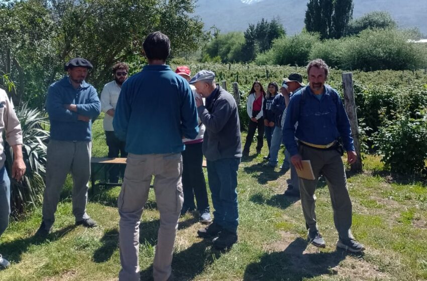  Sanidad Vegetal: Se realizó un taller sobre cosecha de frutas en El Hoyo