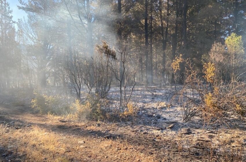  El Gobierno del Chubut controló el incendio en Epuyén