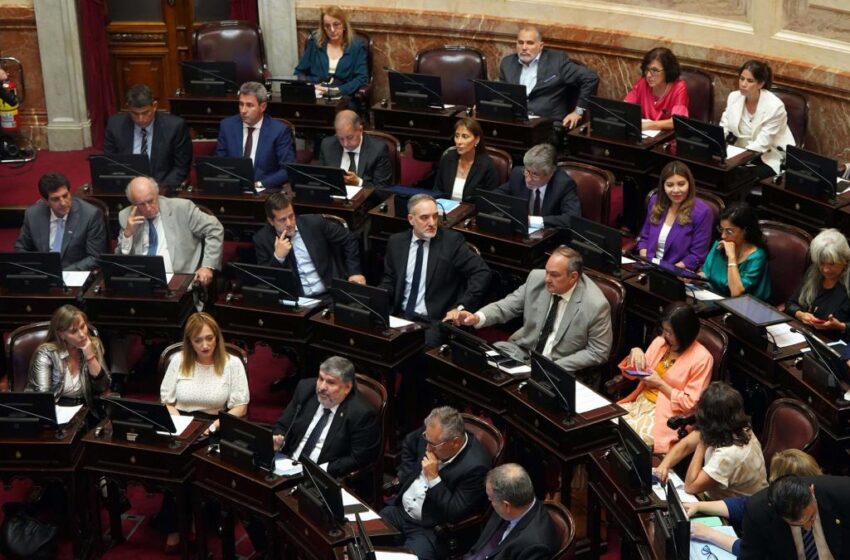  El Senado debate en comisión el proyecto de Boleta Única de Papel