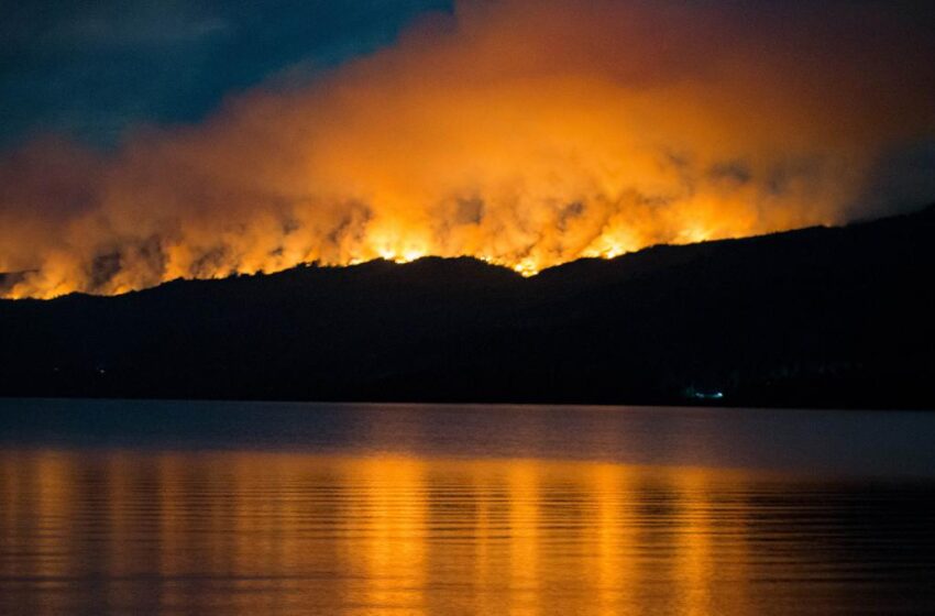  Ya son más de 2.000 las hectáreas quemadas en el Parque Nacional Los Alerces