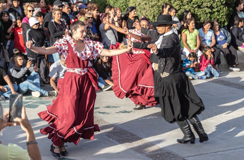  Este fin de semana se desarrollará el Festival del Damasco en Laprida