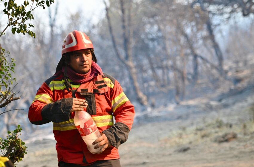  Con la llegada de 45 brigadistas de Santa Fe, el Gobierno del Chubut refuerza el operativo para contener el incendio del Parque Nacional “Los Alerces”