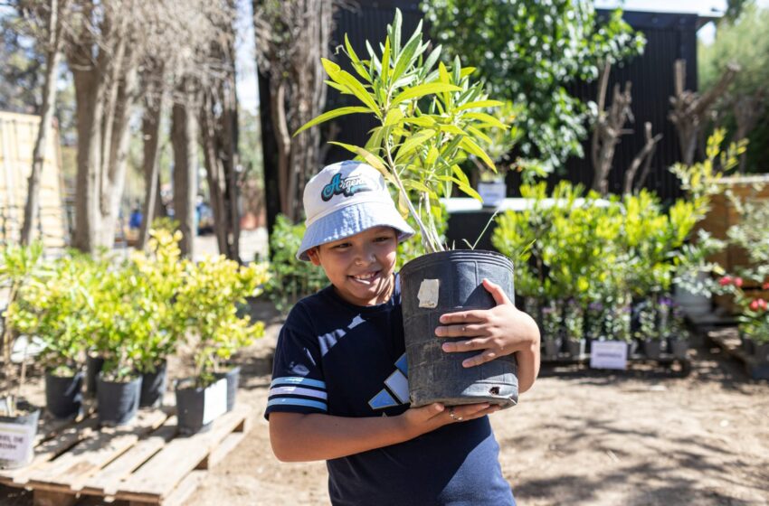  El Municipio cumplió con gran éxito otra nutrida jornada de Ecocanje
