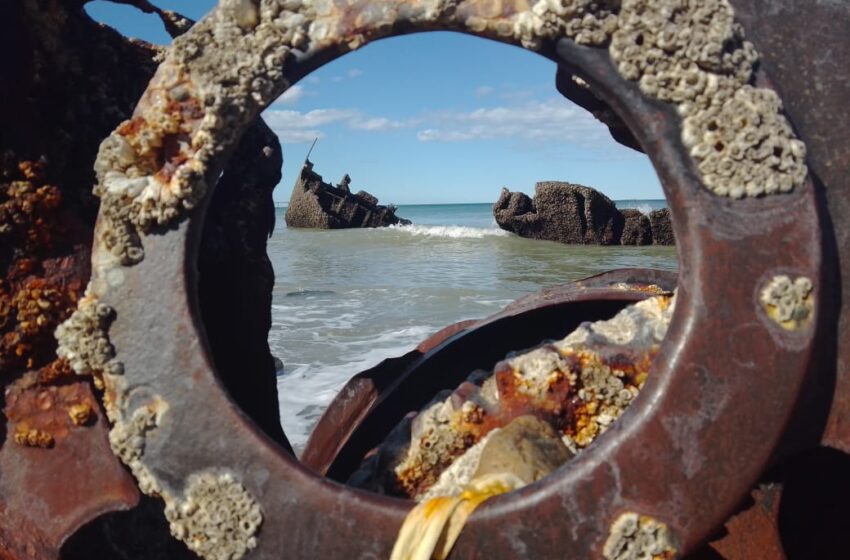  Se encuentra abierta la convocatoria para participar de la muestra “Encuentros fugaces”