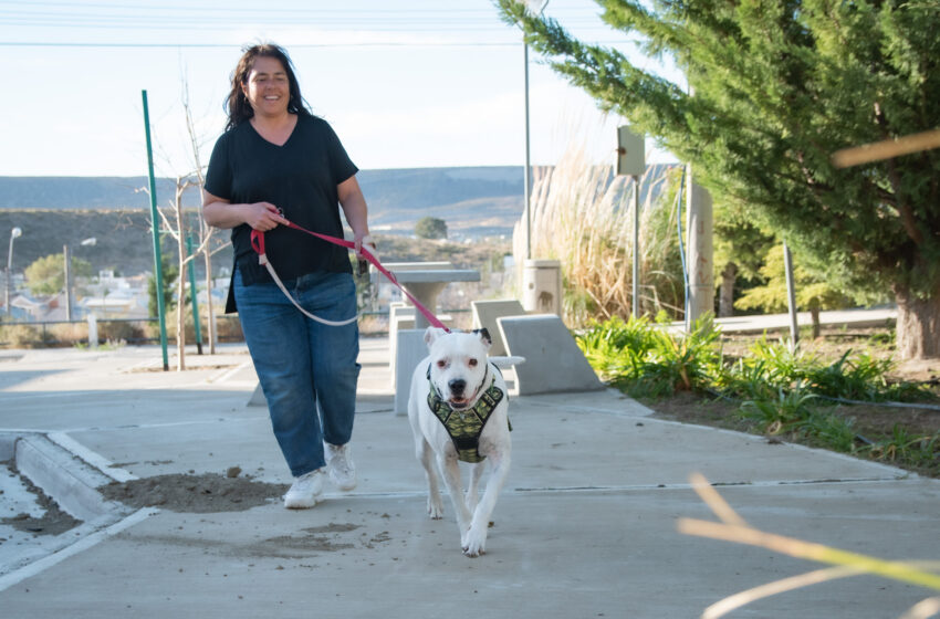  EL SÁBADO SE REALIZARÁ UNA NUEVA JORNADA DE ESTERILIZACIÓN GRATUITA DE PERROS Y GATOS