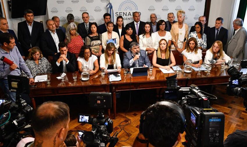  Los senadores de UxP pidieron «firmeza» a los gobernadores para defender los intereses de la patria