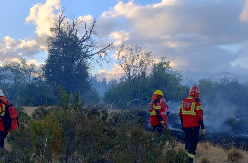  Provincia controló incendio forestal en la zona de Los Cipreses