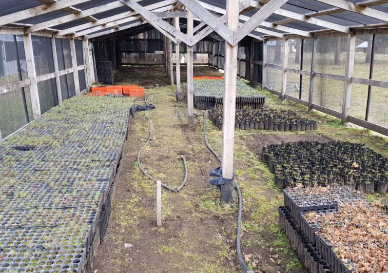  Provincia articula actividades en todos los invernaderos del Chubut