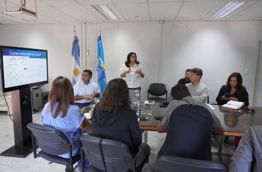  Provincia trabaja en el abordaje interdisciplinario de la Encefalomielitis Equina del Oeste