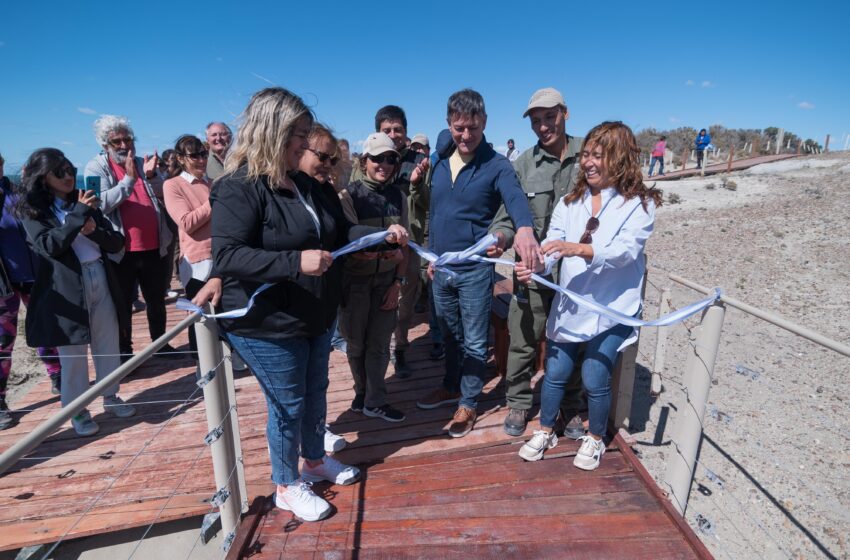  Provincia inauguró la “Temporada de Orcas 2024” con un acto en Punta Norte