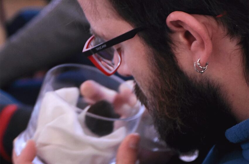  Chubut será anfitriona del Taller Internacional de Introducción a la Truficultura