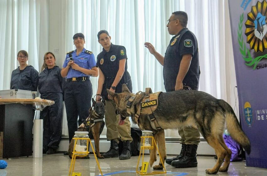  La Policía del Chubut presentó la Odorología Forense