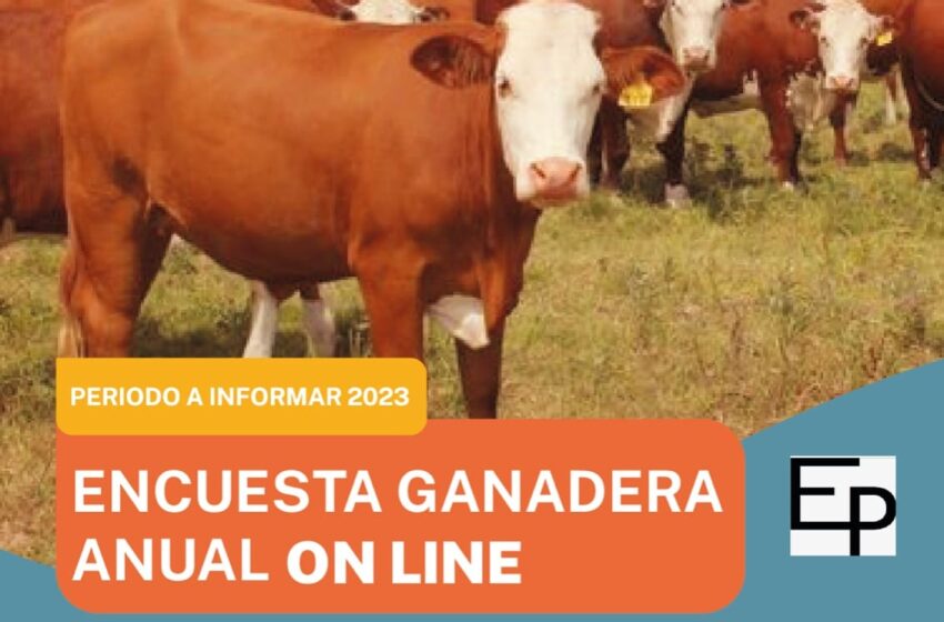  El Gobierno Provincial pone en marcha la Encuesta Pecuaria 2024