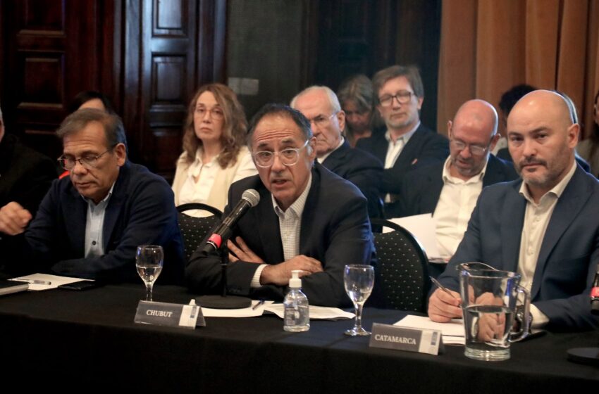  Chubut destacó la importancia de haber participado del primer Consejo Federal de la Salud