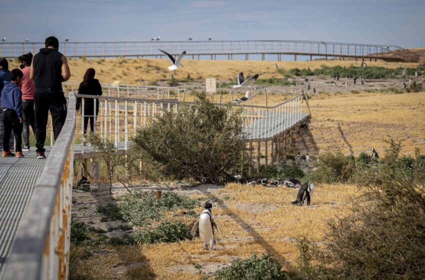  Chubut promociona el Turismo Sostenible en la feria de consumo responsable más grande de Latinoamérica