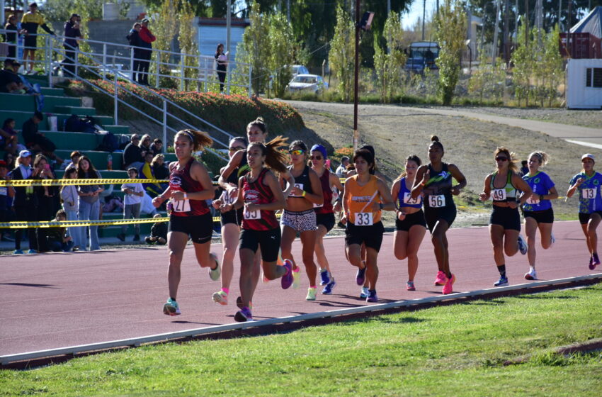 El atletismo homenajeó a los Héroes de Malvinas con un brillante torneo