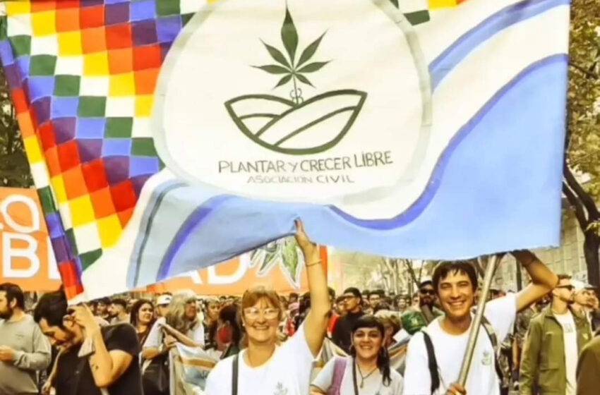  “Cultivo Familiar: la base del activismo social. De madres y abuelas que gestaron una Revolución Cultural en Argentina”