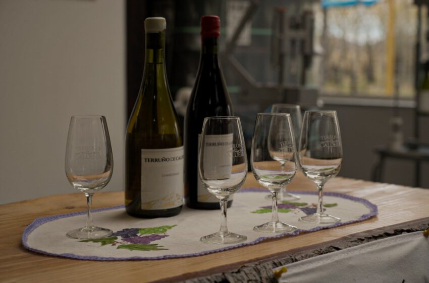  Provincia convoca a bodegas chubutenses a participar del “Día Mundial del Malbec”