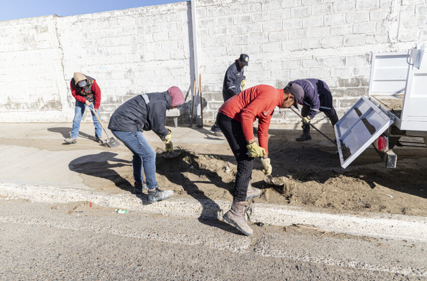  El Municipio lleva adelante un plan de limpieza de espacios públicos