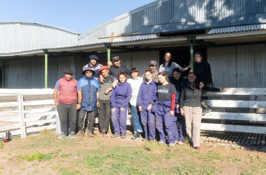  Ozono SAS y su alianza con Boomitra para impulsar la recuperación del suelo en la Patagonia