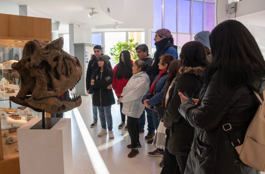  Provincia invita a disfrutar de una Muestra Colectiva de los Museos Regionales