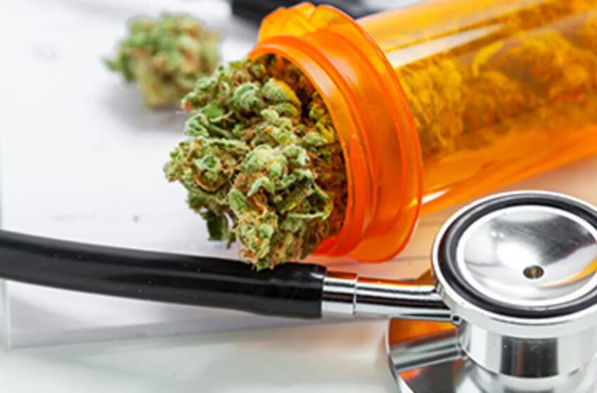  “Cannabis, Climaterio y Menopausia: beneficios y calidad de vida en la Mujer”