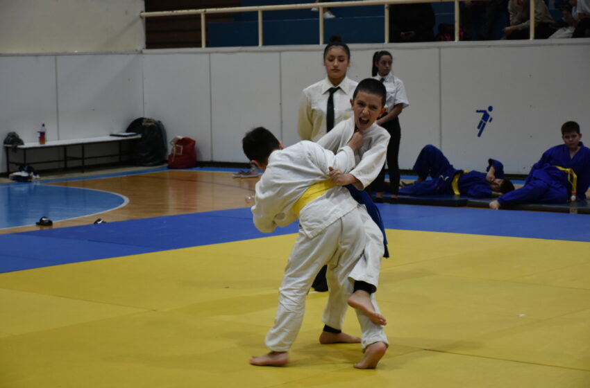  Las categorías formativas de judo compitieron en el Municipal 1