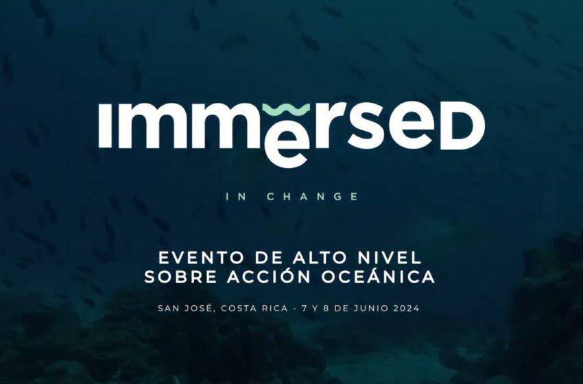  Chubut tendrá marcada presencia en evento internacional que impulsa la conservación de los océanos