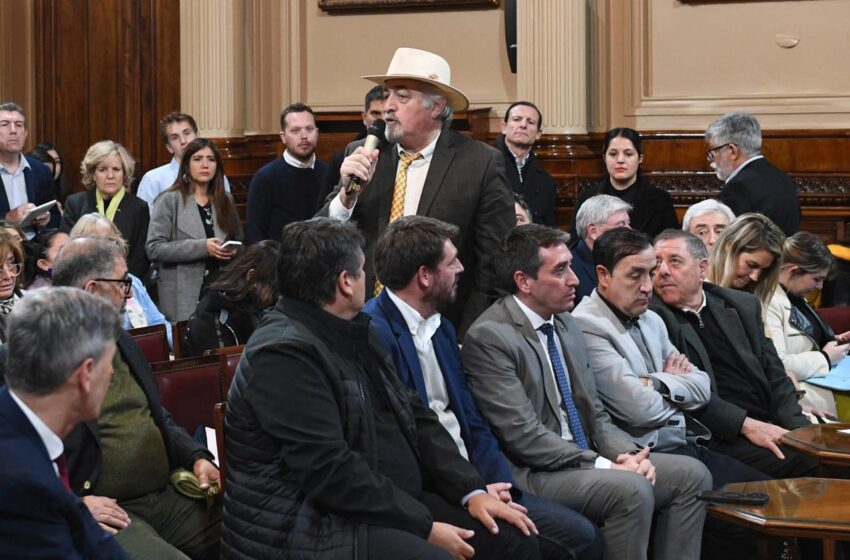  Macharashvili junto a intendentes de la Red Federal presentaron el proyecto de ley Creación del Fondo Federal de Compensaciones para el Transporte Público