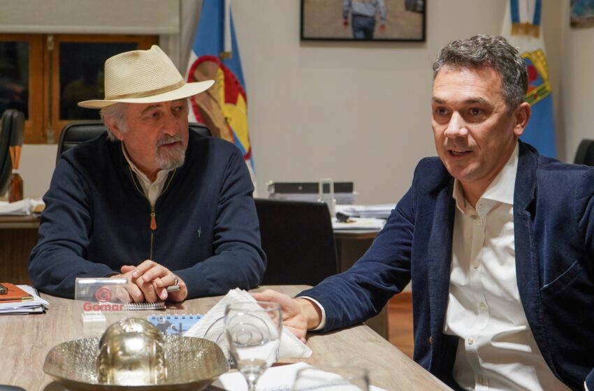  “Vamos a apostar fuertemente a una sociedad estratégica con YPF LUZ”